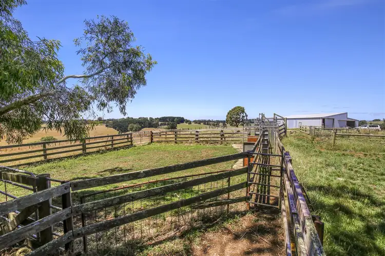 Third view of Homely rural property listing, 97 Toomeys Creek Road, Mardan VIC 3953