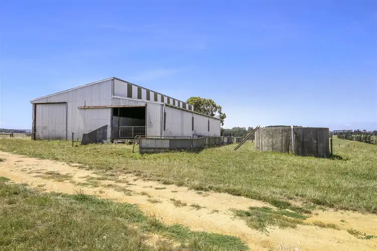 Fourth view of Homely rural property listing, 97 Toomeys Creek Road, Mardan VIC 3953