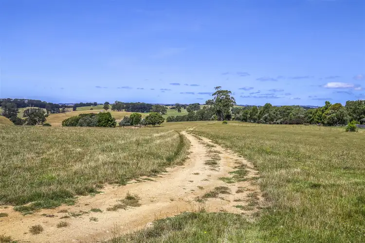 Fifth view of Homely rural property listing, 97 Toomeys Creek Road, Mardan VIC 3953