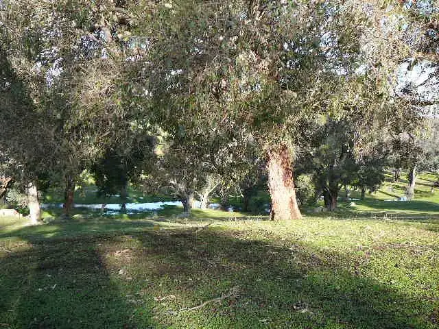 Sixth view of Homely land listing, 156 Banks Road, Boyup Brook WA 6244