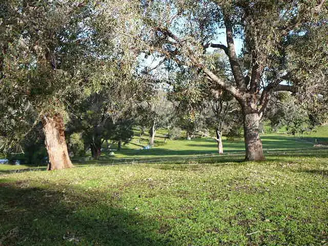 Seventh view of Homely land listing, 156 Banks Road, Boyup Brook WA 6244