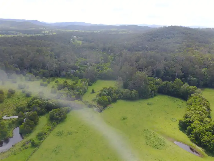 Fifth view of Homely rural property listing, 326 Skyring Creek Road, Belli Park QLD 4562