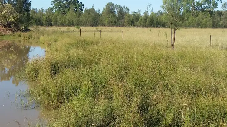 Sixth view of Homely rural property listing, 140 Wirraway Ave, Leyburn QLD 4365