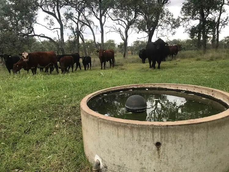 Second view of Homely rural property listing, L50 Hoffman Road, Wyreema QLD 4352