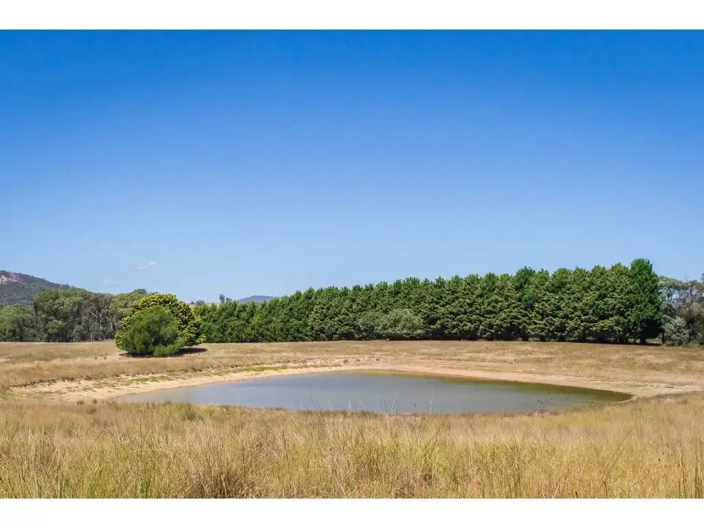 Main view of Homely rural property listing, 1193 Upper Boho Road, Boho South VIC 3669