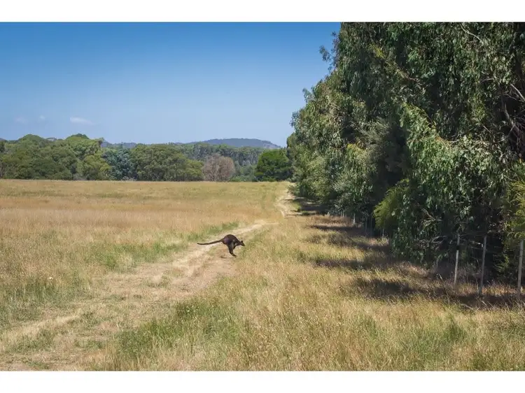 Fifth view of Homely rural property listing, 1193 Upper Boho Road, Boho South VIC 3669