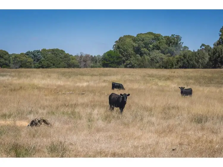 Seventh view of Homely rural property listing, 1193 Upper Boho Road, Boho South VIC 3669