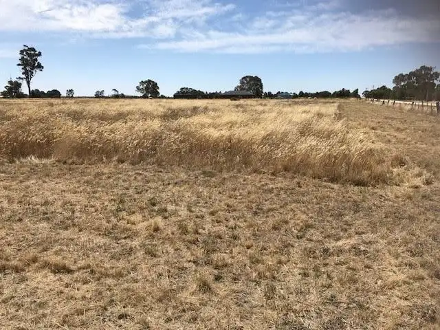 Sixth view of Homely land listing, 11 Flood Street, Clunes VIC 3370