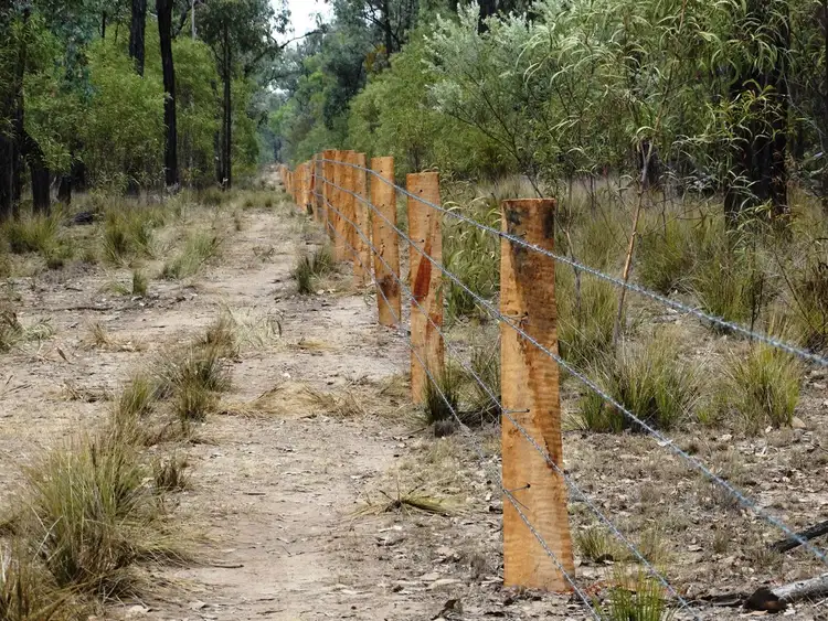 Fifth view of Homely rural property listing, Lot 31 Cameby Road, Chinchilla QLD 4413