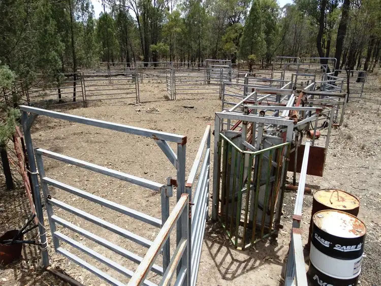 Seventh view of Homely rural property listing, Lot 31 Cameby Road, Chinchilla QLD 4413