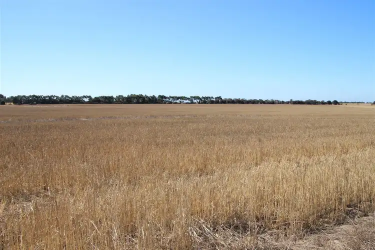 Fifth view of Homely rural property listing, 355 McPhersons Road, Rokewood Junction VIC 3351