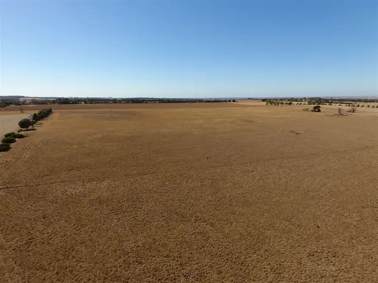 Sixth view of Homely rural property listing, 355 McPhersons Road, Rokewood Junction VIC 3351