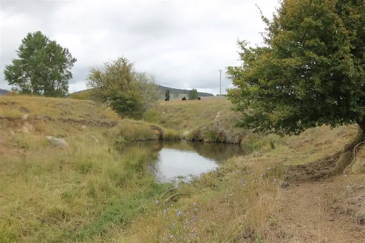 Main view of Homely rural property listing, 5372 Kings Highway, Braidwood NSW 2622
