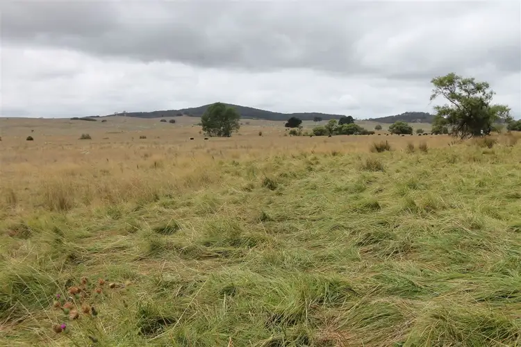 Fourth view of Homely rural property listing, 5372 Kings Highway, Braidwood NSW 2622
