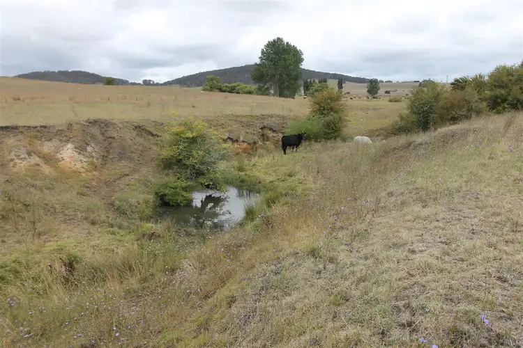 Fifth view of Homely rural property listing, 5372 Kings Highway, Braidwood NSW 2622