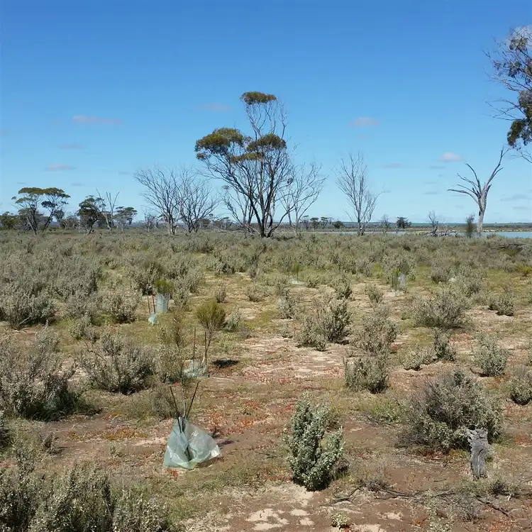 Third view of Homely land listing, . Pontifex Road, Baandee WA 6412