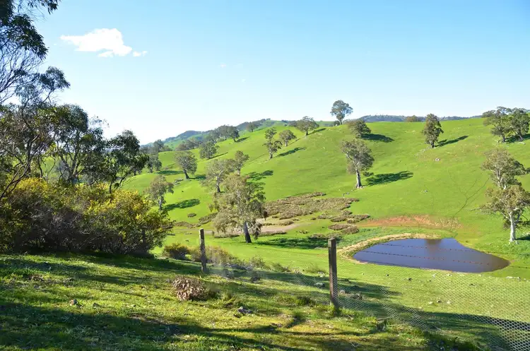 Fifth view of Homely rural property listing, 263 Warren Road, Williamstown SA 5351