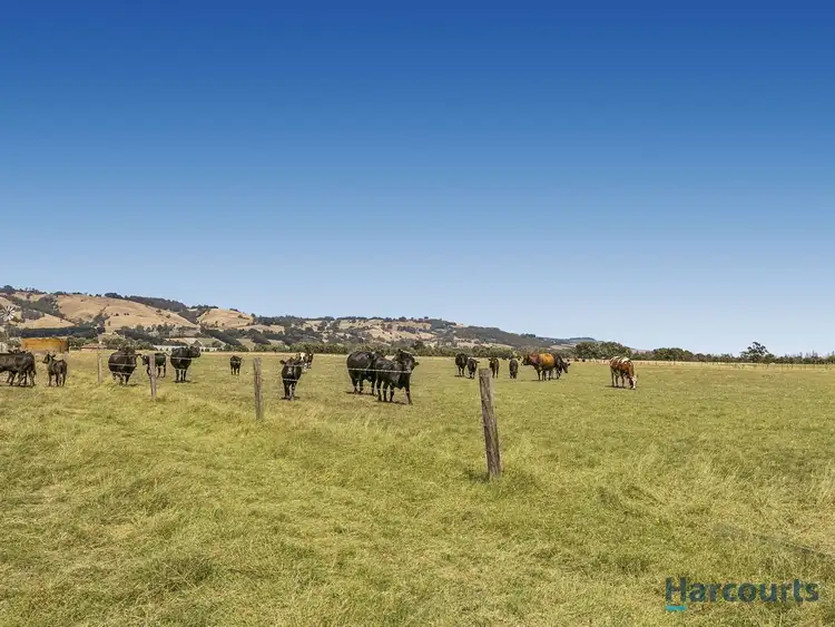 Third view of Homely rural property listing, 1488 Waterloo Road, Yarragon VIC 3823