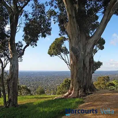 Third view of Homely land listing, 14 Duncan Road, Beaumont SA 5066