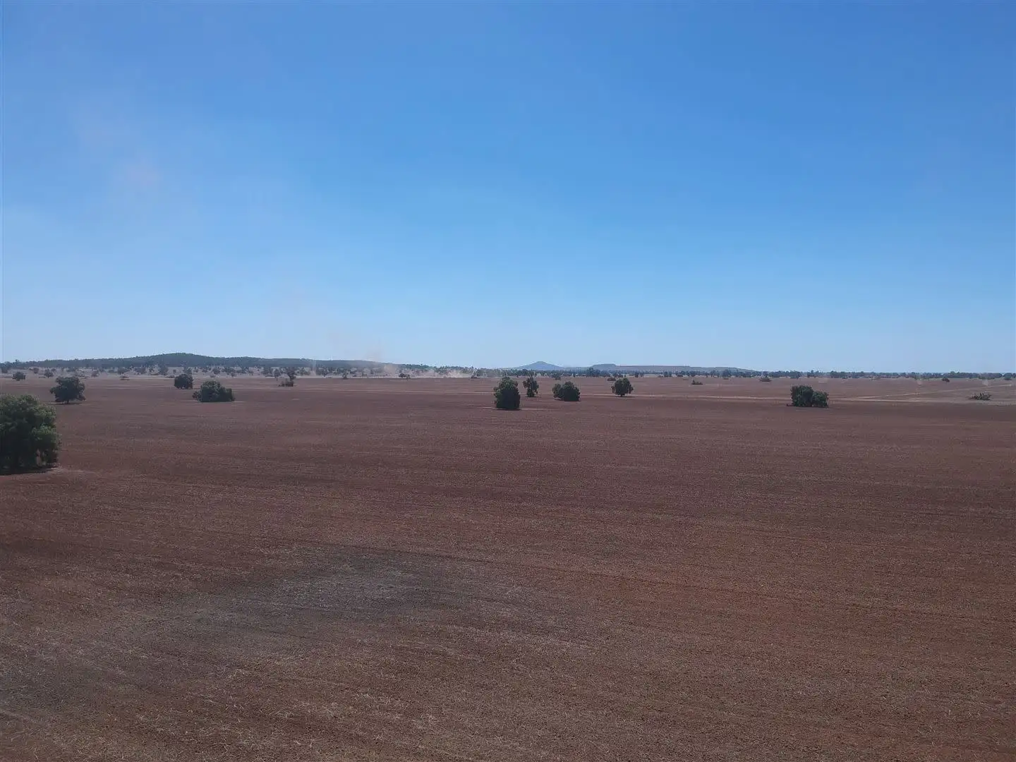 Main view of Homely rural property listing, "DUSKRIDGE "-Lake Cowal 640 acres, West Wyalong NSW 2671