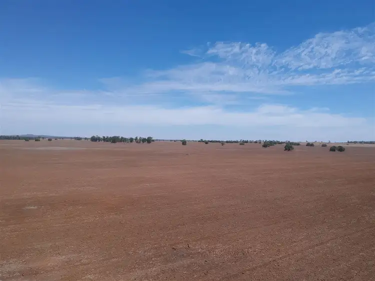 Second view of Homely rural property listing, "DUSKRIDGE "-Lake Cowal 640 acres, West Wyalong NSW 2671