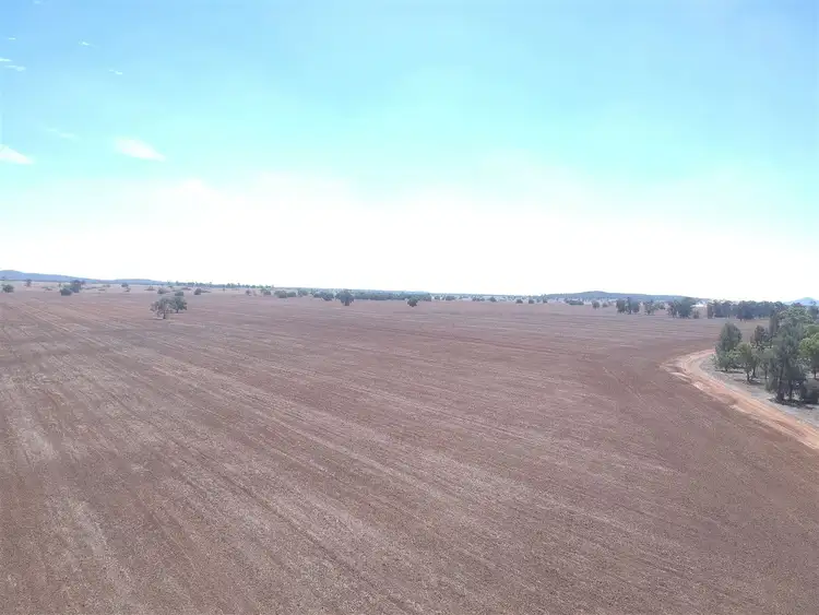 Third view of Homely rural property listing, "DUSKRIDGE "-Lake Cowal 640 acres, West Wyalong NSW 2671