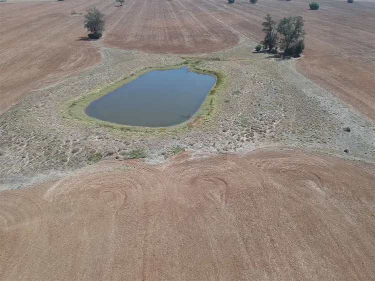 Fourth view of Homely rural property listing, "DUSKRIDGE "-Lake Cowal 640 acres, West Wyalong NSW 2671
