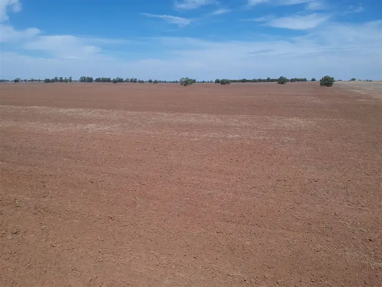 Fifth view of Homely rural property listing, "DUSKRIDGE "-Lake Cowal 640 acres, West Wyalong NSW 2671