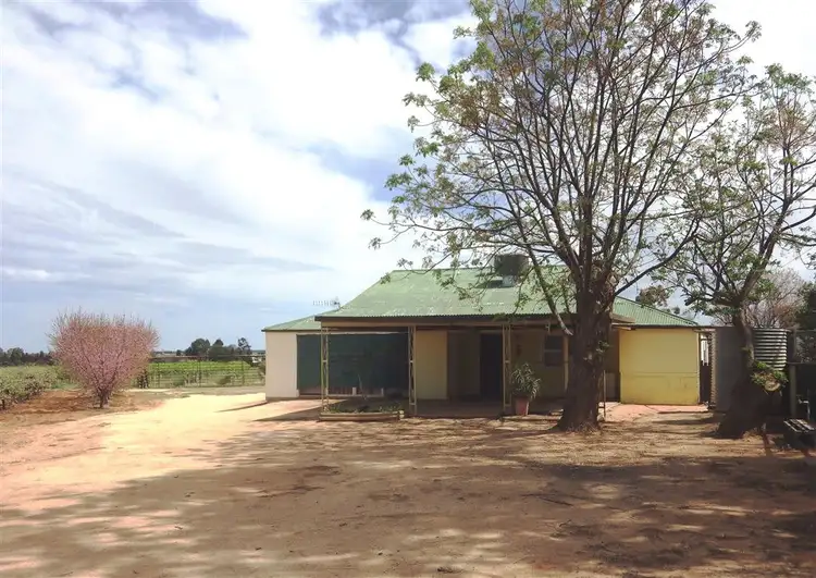 Second view of Homely rural property listing, 23 Scott Road, Berri SA 5343