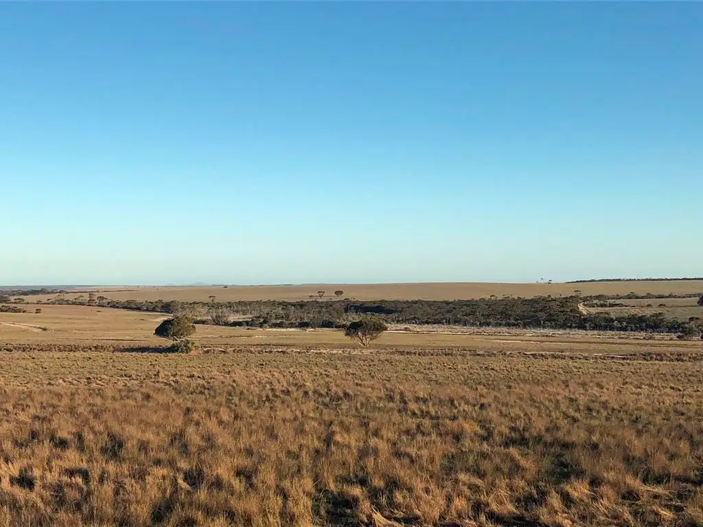 Main view of Homely rural property listing, Address available on request