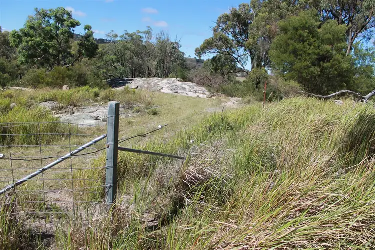 Sixth view of Homely rural property listing, 1995 Torrington Rd, Stannum NSW 2371