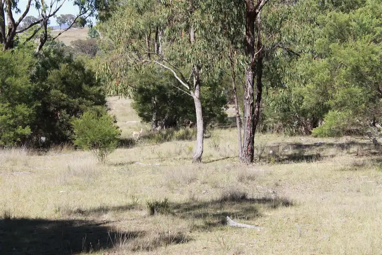 Seventh view of Homely rural property listing, 1995 Torrington Rd, Stannum NSW 2371