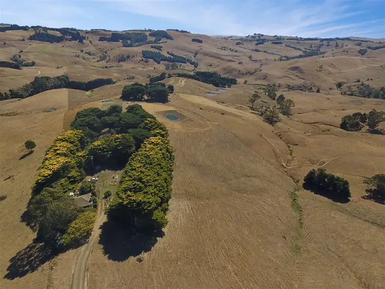 Second view of Homely rural property listing, 790 Bena-Kongwak Road, Bena VIC 3946