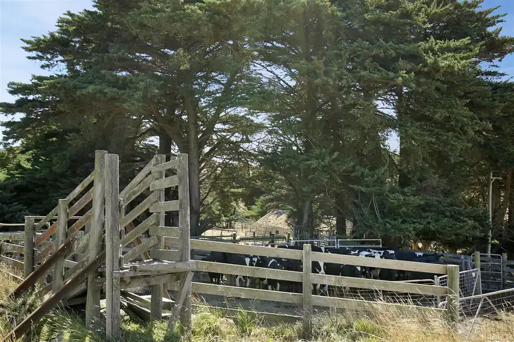 Third view of Homely rural property listing, 790 Bena-Kongwak Road, Bena VIC 3946