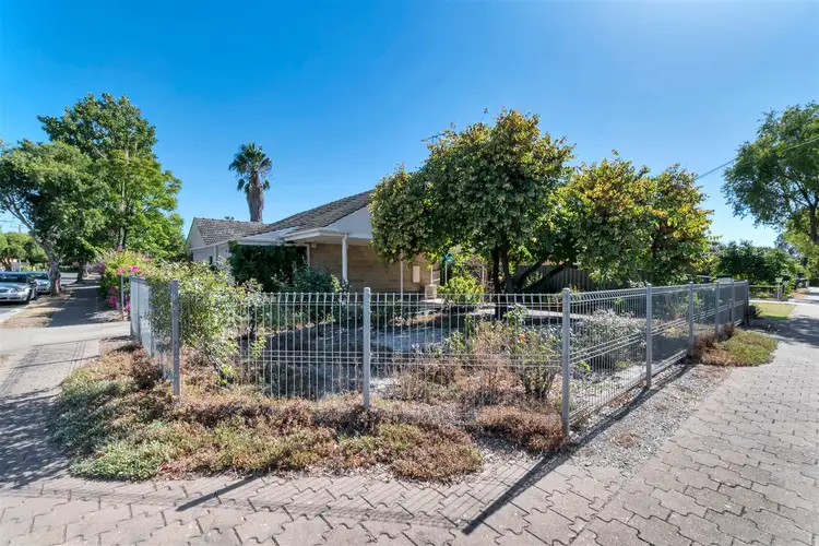 Second view of Homely house listing, 20 Vine Terrace, Klemzig SA 5087