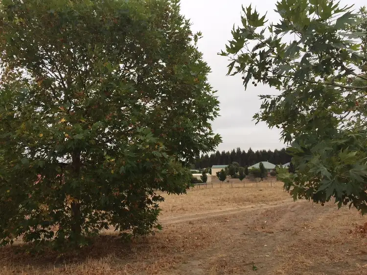 Main view of Homely land listing, 10 Gleneagles Drive, Bridgetown WA 6255