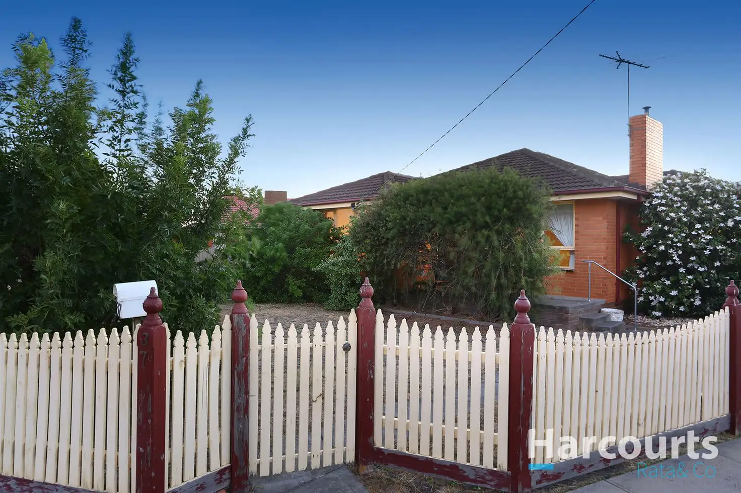 Main view of Homely house listing, 37 Heather Avenue, Thomastown VIC 3074