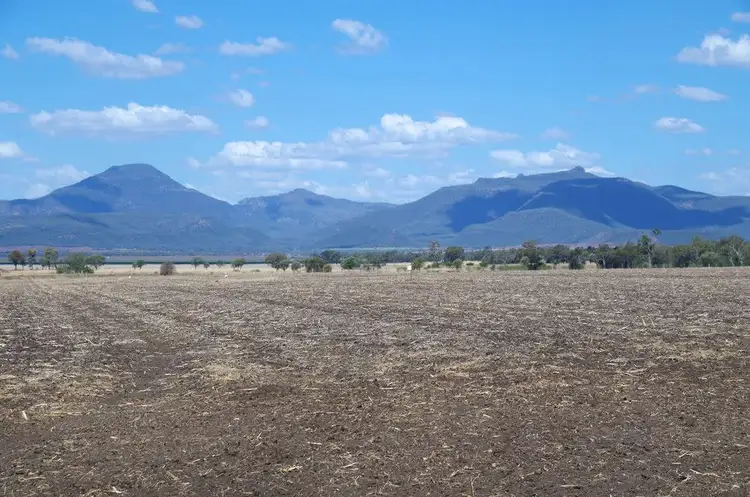 Third view of Homely rural property listing, 709 Byalla Lane, Edgeroi NSW 2390