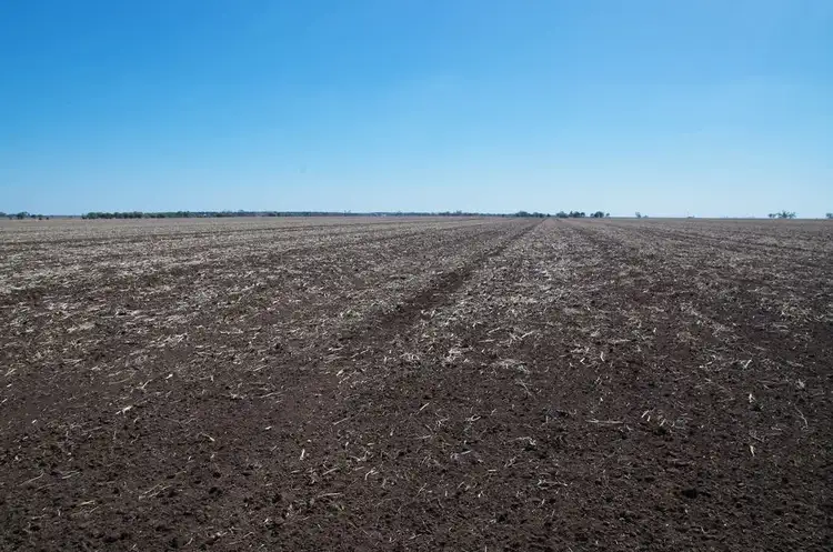 Fourth view of Homely rural property listing, 709 Byalla Lane, Edgeroi NSW 2390