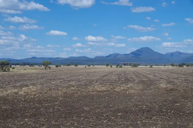 Fifth view of Homely rural property listing, 709 Byalla Lane, Edgeroi NSW 2390