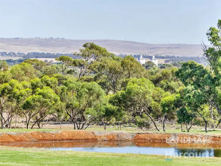 Third view of Homely rural property listing, 30 Mary Lane, Cambrai SA 5353