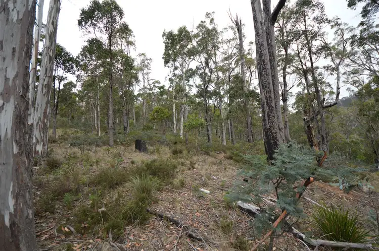 Second view of Homely land listing, 1144 Bluff Road, Elderslie TAS 7030