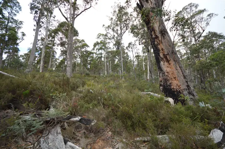 Fifth view of Homely land listing, 1144 Bluff Road, Elderslie TAS 7030