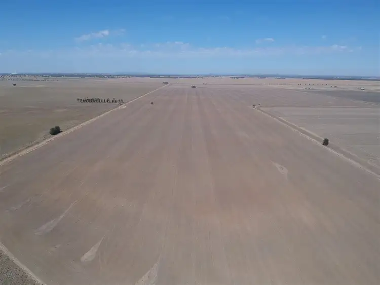 . "SKIRLING PLAINS", Quandialla, West Wyalong NSW 2671