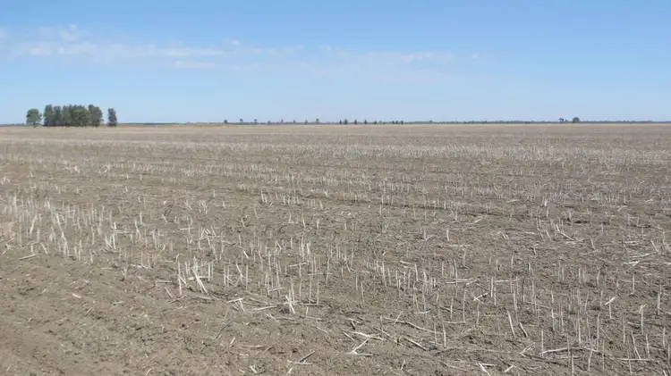 Second view of Homely rural property listing, . "SKIRLING PLAINS", Quandialla, West Wyalong NSW 2671