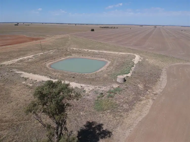 Fifth view of Homely rural property listing, . "SKIRLING PLAINS", Quandialla, West Wyalong NSW 2671