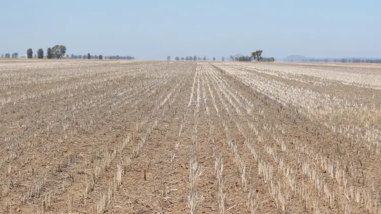 Sixth view of Homely rural property listing, . "SKIRLING PLAINS", Quandialla, West Wyalong NSW 2671