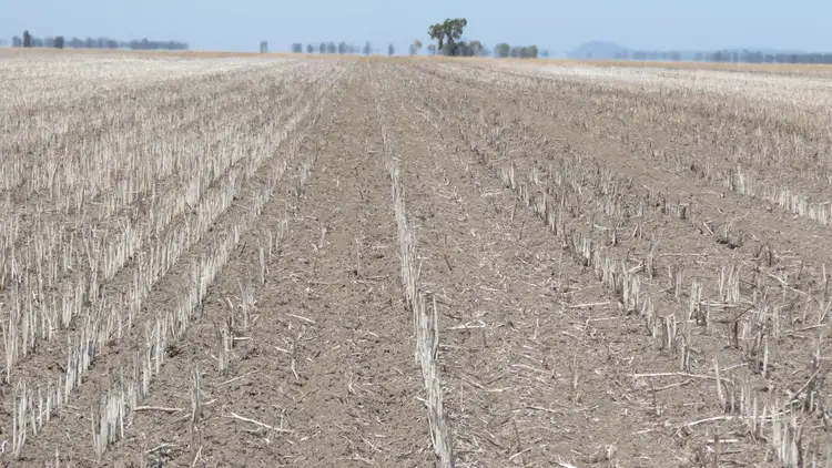 Seventh view of Homely rural property listing, . "SKIRLING PLAINS", Quandialla, West Wyalong NSW 2671