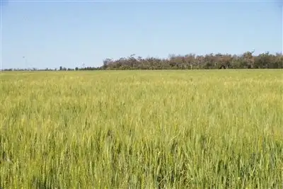 Fourth view of Homely rural property listing, . Loch Adair, Boomi NSW 2405