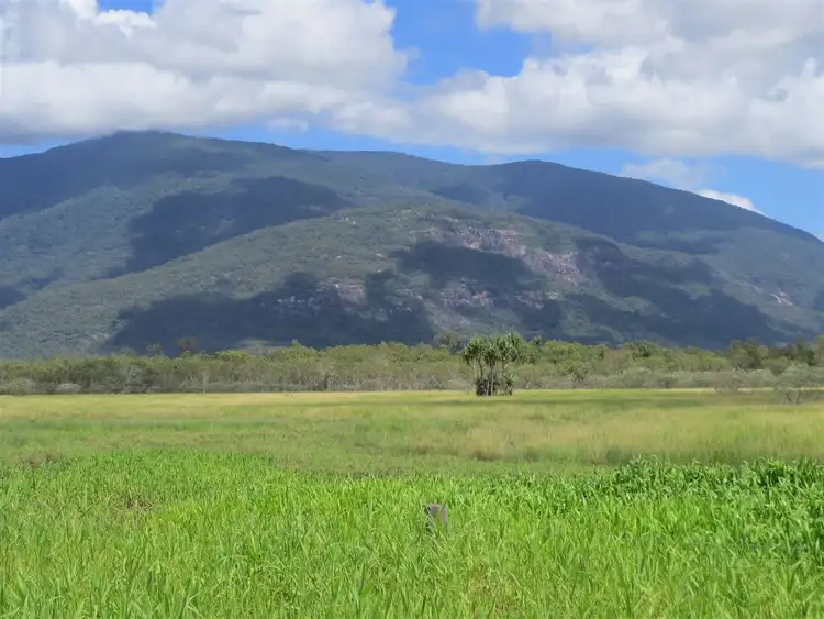 Fourth view of Homely rural property listing, 34452 Bruce Highway, Giru QLD 4809